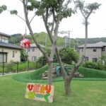 ☆ひだまりぱーく完成式　7月１日(水)　☆